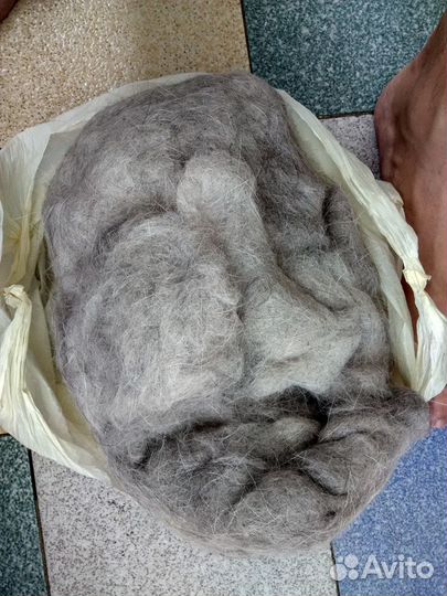 Кошачья шерсть