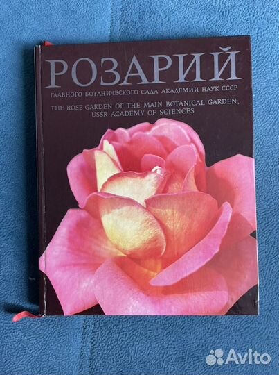 Розы, орхидеи, уникальные фотоальбомы СССР