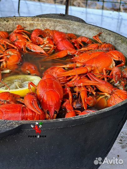 Весенние раки к празднику