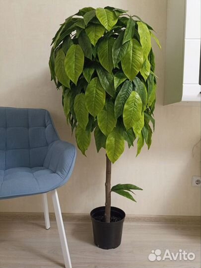 Искусственное дерево манго/цветок/пальма