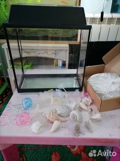 Коряга, грунт