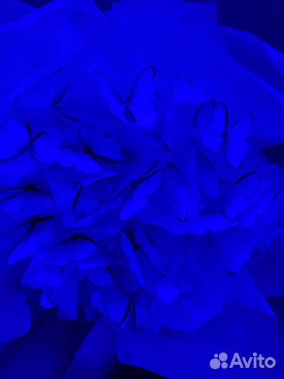 Букет из бабочек