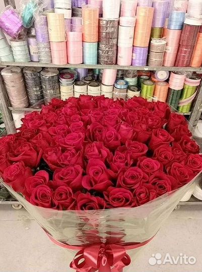 Высокие розы