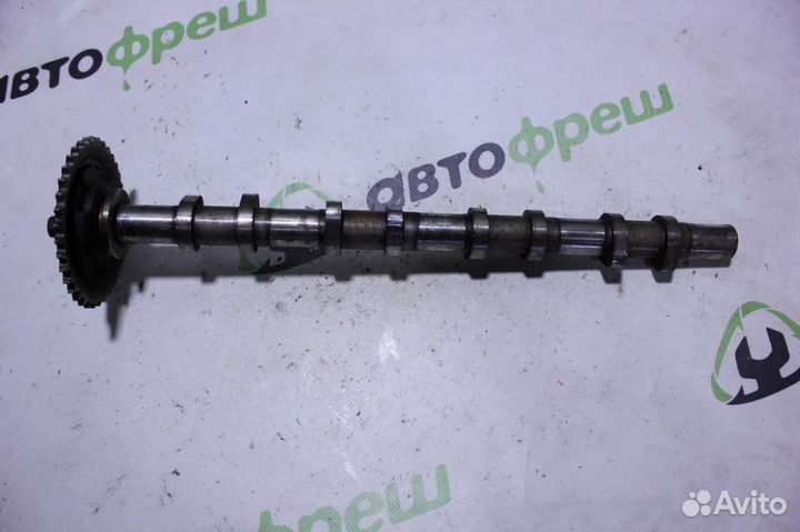 Распредвал выпускной Peugeot Boxer 250