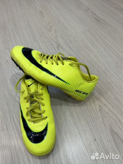 Сороконожки