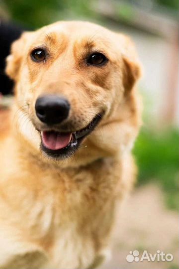 Верочка верит в новый дом