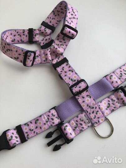 Шлейка, ошейник, поводок