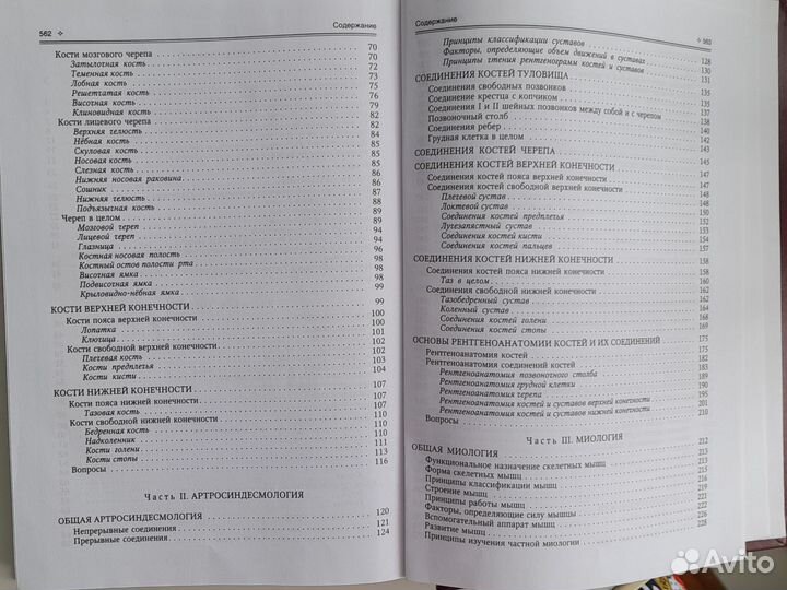 Анатомия человека