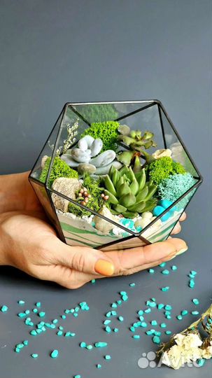 Флорариум, моссариум, подарок