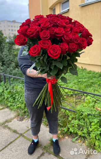 Роза 1 метр