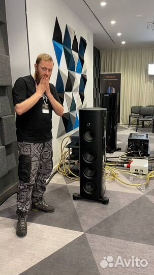 Домашний кинотеатр настенный