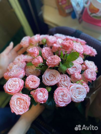 Розы кустовые