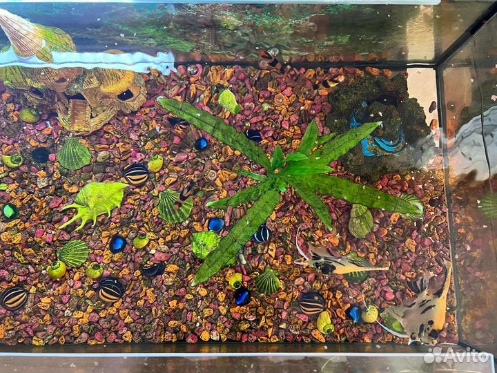 Украшение и аквариум