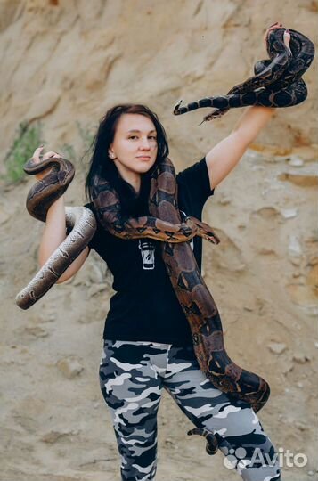 Фотосессия со змеёй, аренда экзотических животных