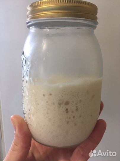 Закваска для хлеба