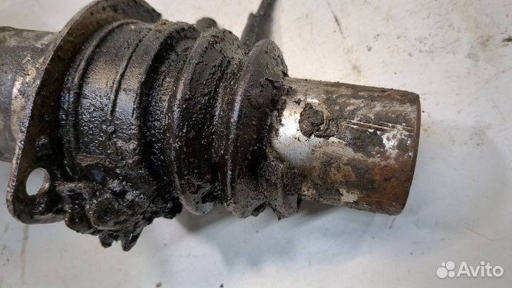 Амортизатор подвески левый задний Citroen C5