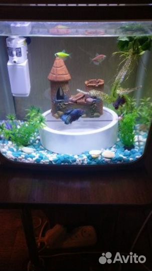 Аквариум компактный с подсветкой
