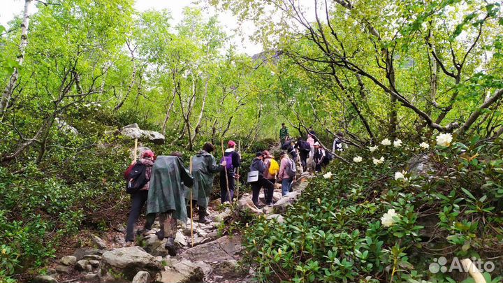 Путевка в детский лагерь с трансфером