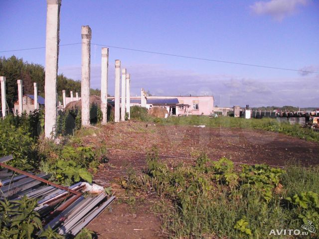 Участок 55 сот. (СНТ, ДНП)