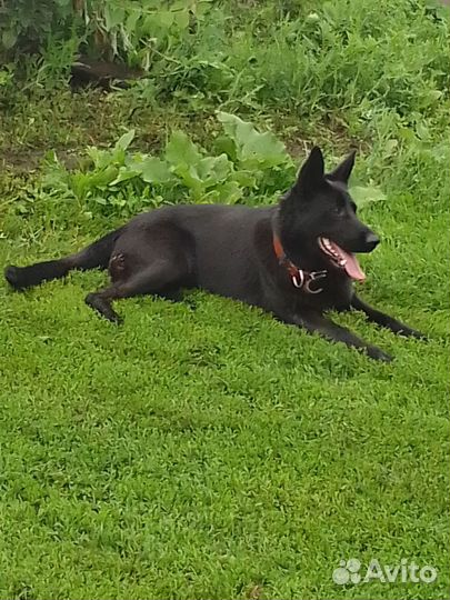 Кабель для вязки