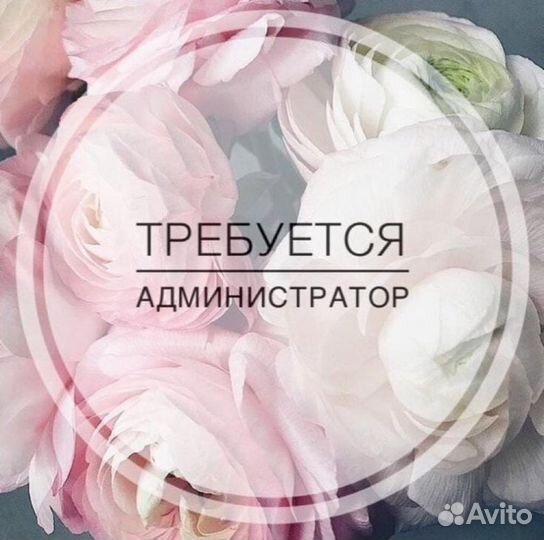 Администратор в колл-центр