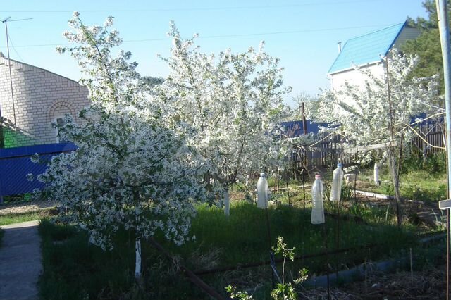 Дача 30 м² на участке 6 сот.