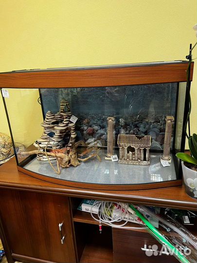 Аквариум для рыб