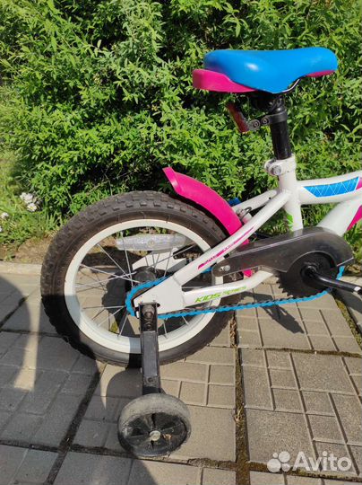 Велосипед детский Stark Tanuki