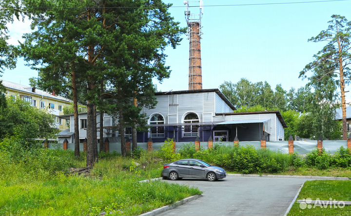 Аренда готового бизнеса и земли