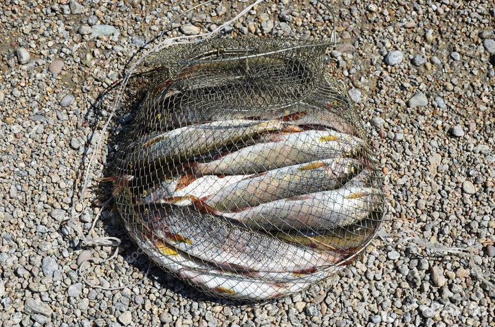 Байкал. Мужской тур