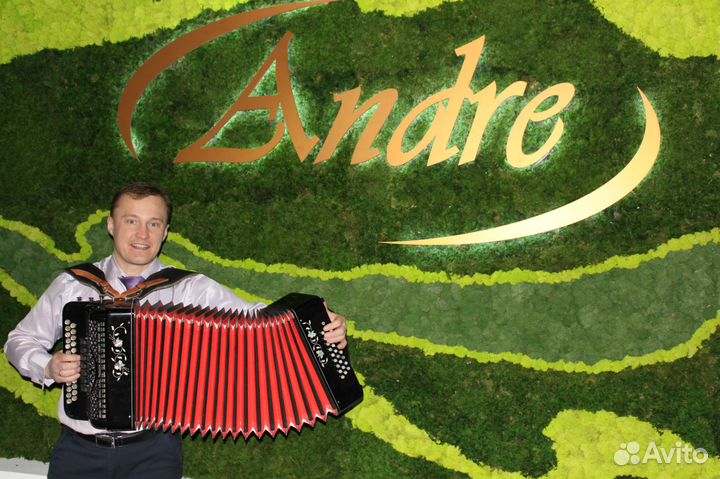 Ведущий-гармонист в одном лице