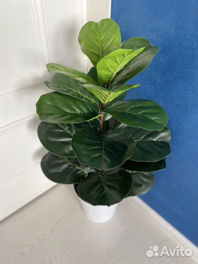 Искусственное растение Фикус каучуконосный