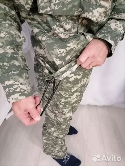 Энцефалитка