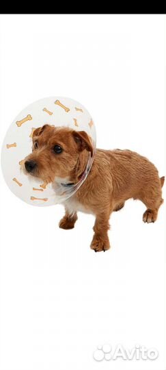 Воротник с дизайном