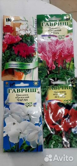 Семена комнатных цветов