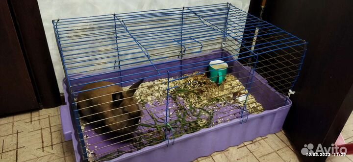 Кполик с клеткой