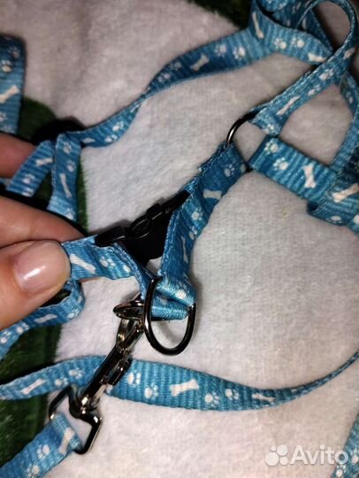 Шлейка для кошки или маленькой собачки