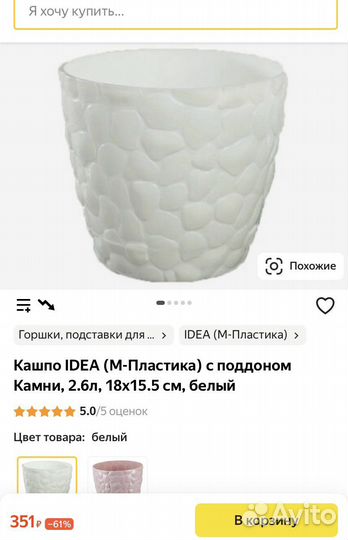 Суккулент седум лЕмон кОрал очиток