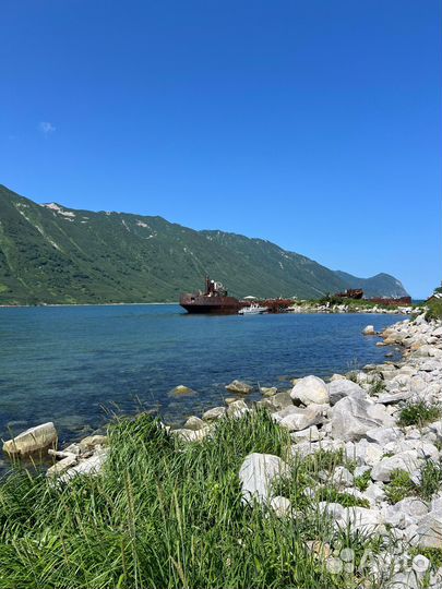 Морские прогулки