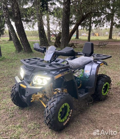 Motoland wild track lux 200 новый