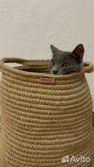 Эко корзина