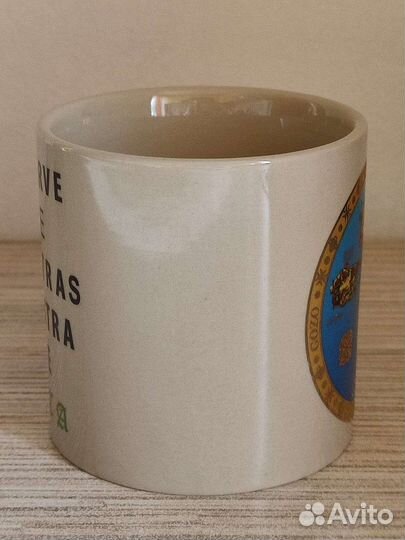 Кружка с юмором. Внутри большой жук