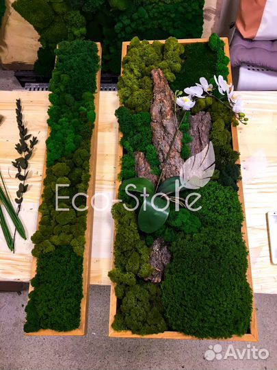 Панно со мхом и орхидеей