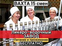 Работа на заводе вахта 15 смен Фасовщик