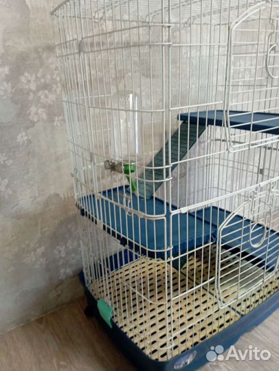 Клетка для грызунов большая