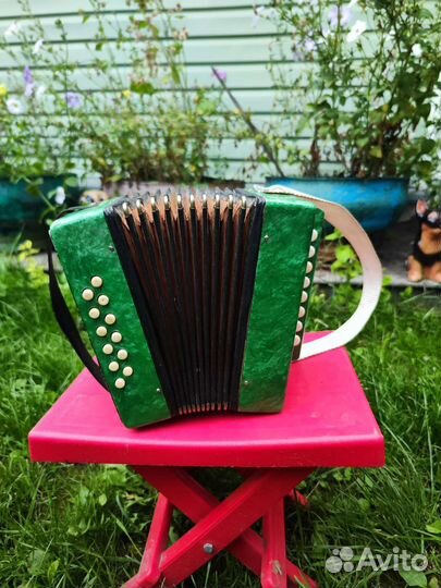 Гармонь детская