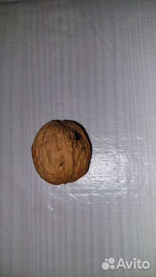 Грецкий орех, маньчжурский