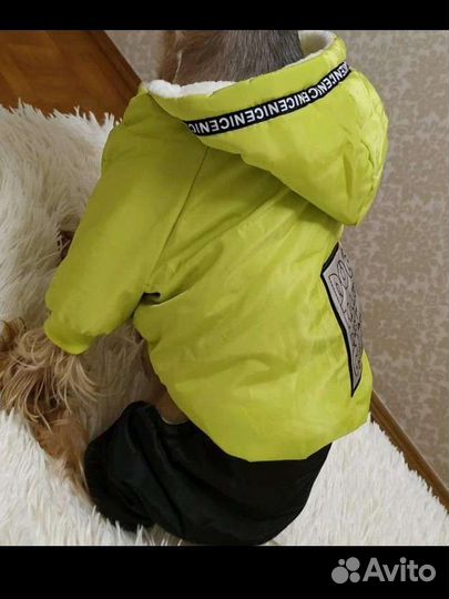 Куртка зимняя для собак мелких пород