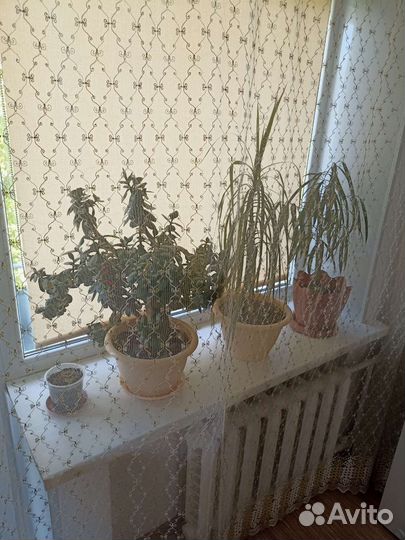 Занавеска тюль