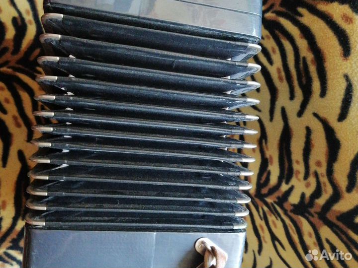 Баян тульский